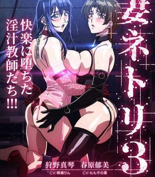 妻ネトリ3 ～快楽に堕ちた淫汁教師たち～HD版